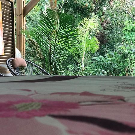 Bras-PanonLe Lambablanc住宿加早餐旅馆 外观 照片